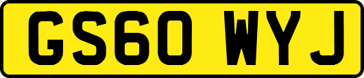 GS60WYJ