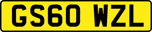 GS60WZL