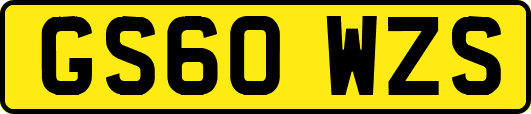 GS60WZS