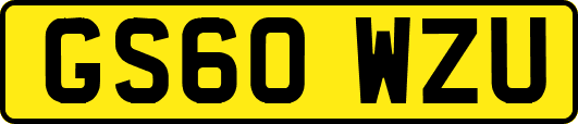 GS60WZU