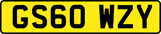 GS60WZY