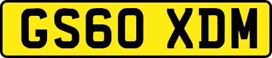GS60XDM