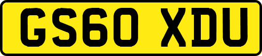 GS60XDU