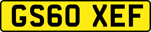 GS60XEF
