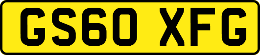 GS60XFG