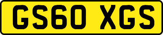 GS60XGS