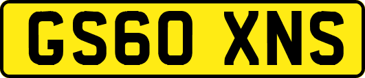 GS60XNS