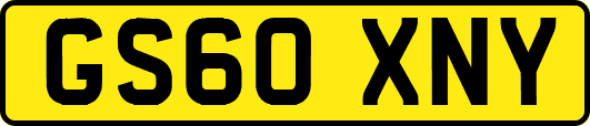 GS60XNY