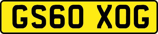 GS60XOG