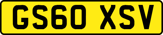 GS60XSV