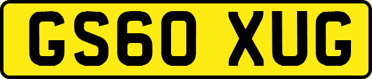 GS60XUG