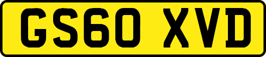 GS60XVD