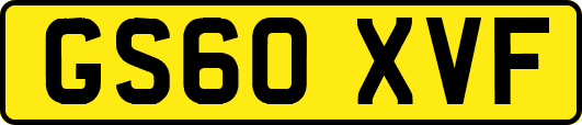 GS60XVF