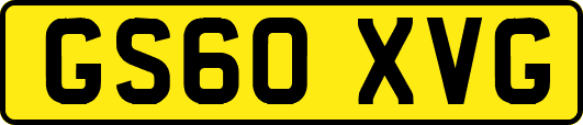 GS60XVG