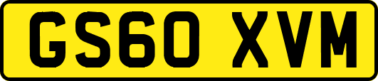 GS60XVM