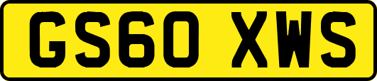 GS60XWS