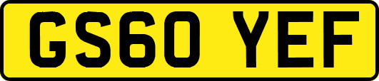 GS60YEF