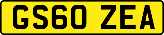 GS60ZEA