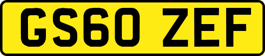 GS60ZEF
