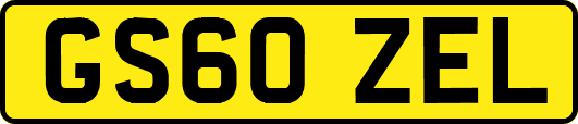 GS60ZEL
