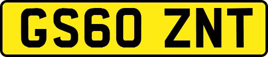GS60ZNT