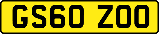 GS60ZOO