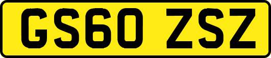 GS60ZSZ