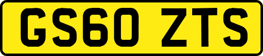 GS60ZTS