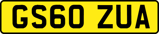 GS60ZUA