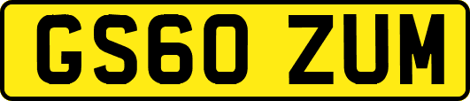 GS60ZUM
