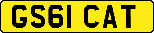GS61CAT