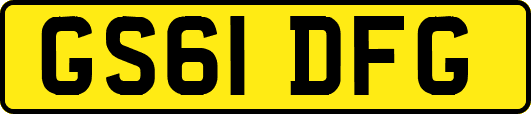 GS61DFG