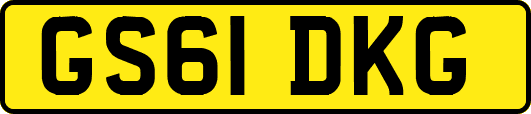 GS61DKG