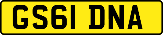 GS61DNA