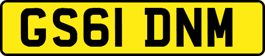 GS61DNM