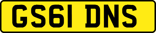 GS61DNS