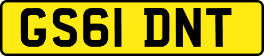 GS61DNT