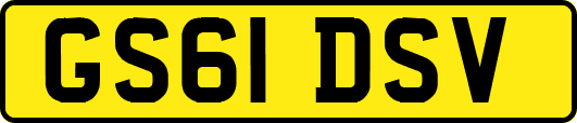 GS61DSV
