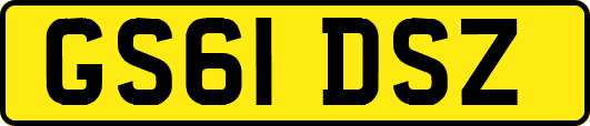GS61DSZ