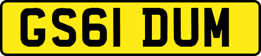 GS61DUM