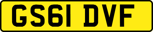 GS61DVF