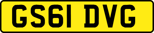 GS61DVG