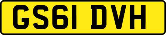 GS61DVH