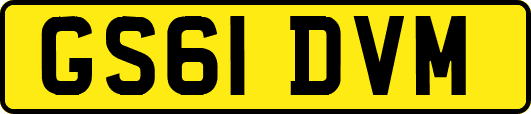 GS61DVM