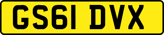 GS61DVX