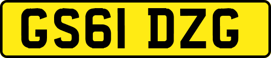 GS61DZG