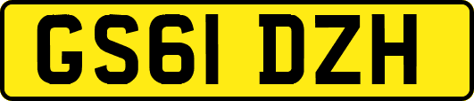 GS61DZH
