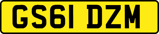 GS61DZM