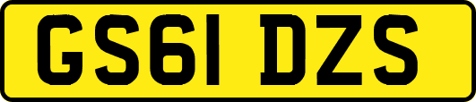 GS61DZS