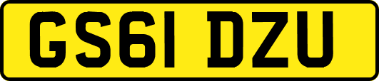 GS61DZU